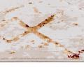 Koberec TINDAR Hardal Beige 80 x 150 cm