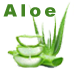 aloes